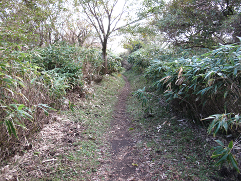 20181025hike (263)